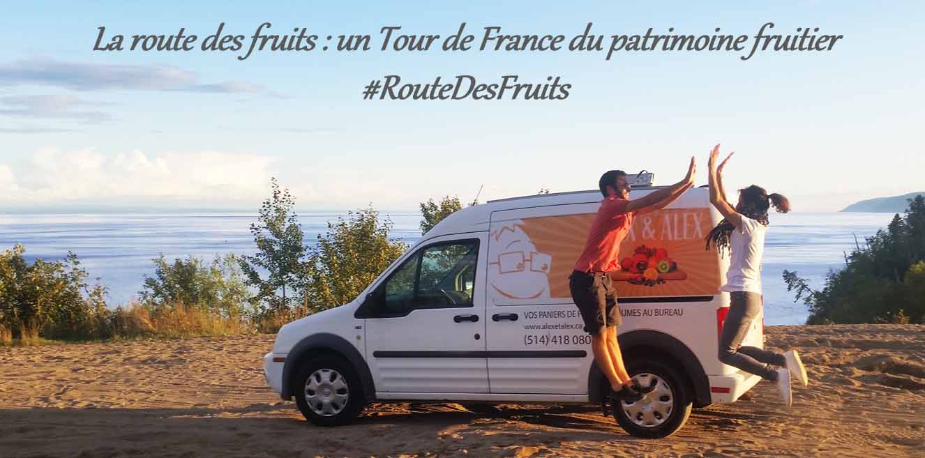 route-fruits