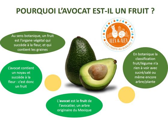 Avocat : fruit ou légume ?