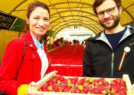 Chasse aux petites fraises sauvages (Gaspésie)