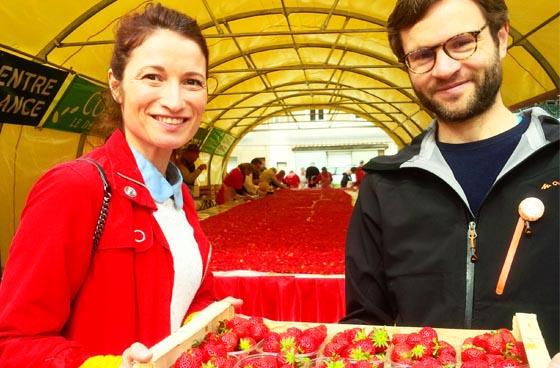 La Route des Fruits : la fraise des bois de Beaulieu