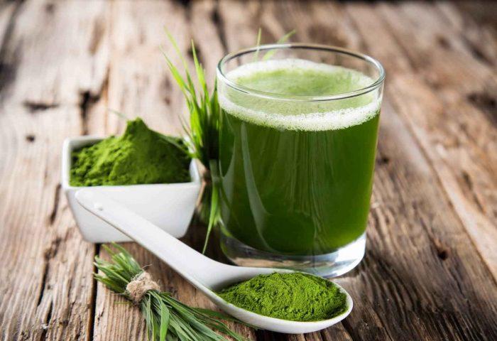 Spiruline bio : l’avis du naturopathe avant d’en acheter