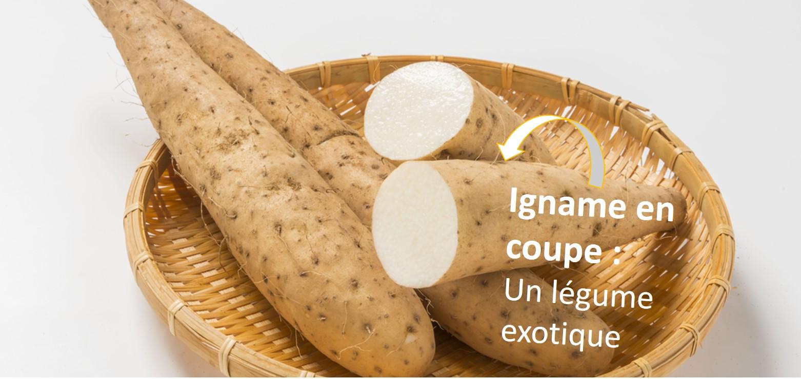 Légume en i Igname