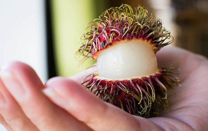 Litchi | Fruit | Le guide complet : saison, origine, bienfaits - A&A