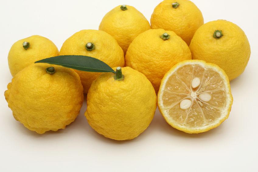 Yuzu - Tout savoir sur ce fruit méconnu : prix, goût, productions