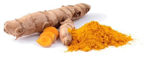 Curcuma-guide-complet