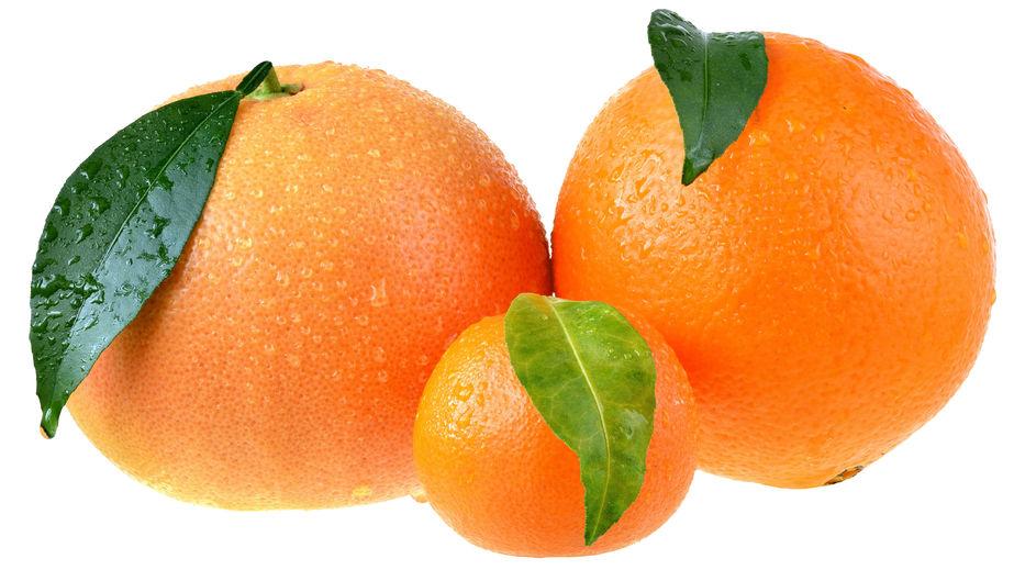 Pamplemousse, orange et mandarine