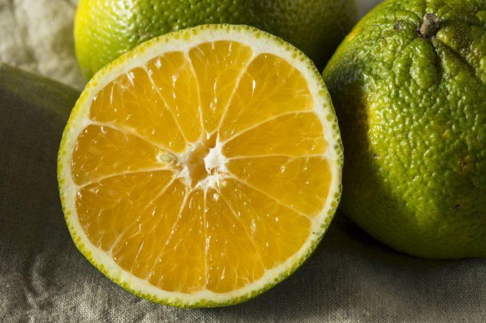 Ugli (fruit) : guide complet