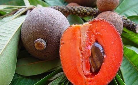 sapote entiere et en coupe sur feuille de palme