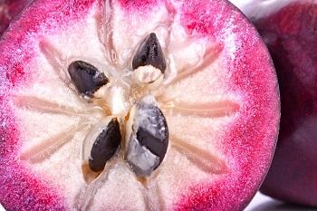 Caïmite (fruit) : guide complet