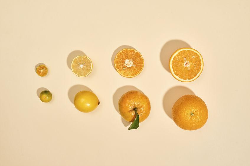 Kumquat : le plus petit des agrumes (taille comparée avec les autres agrumes)