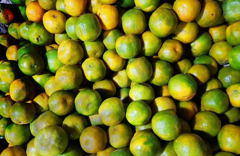 heap of ripe green yellow sweet lemon mosambi lebu for sale in fruit market