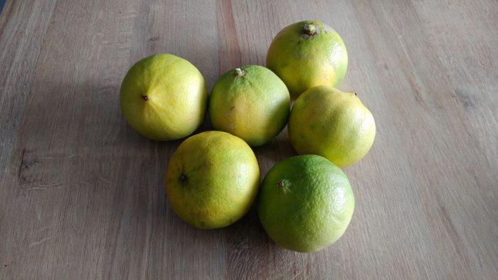 Bergamote (fruit) : guide complet