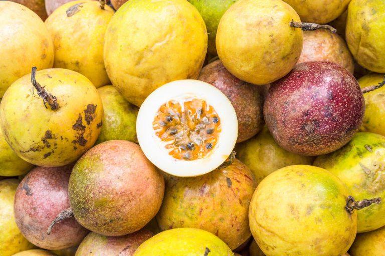 Fruit de la passion bienfaits et signes extérieurs de qualité Alex & Alex Fruit de la passion bienfaits et signes extérieurs de qualité Alex & Alex