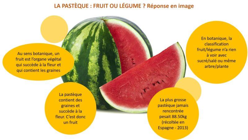 Pastèque : fruit ou légume ?