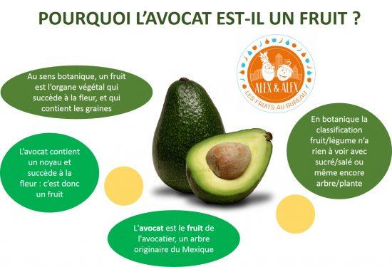 Avocat fruit ou legume
