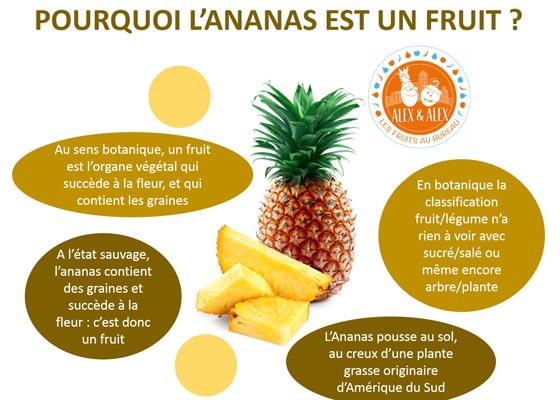 L’ananas : fruit ou légume