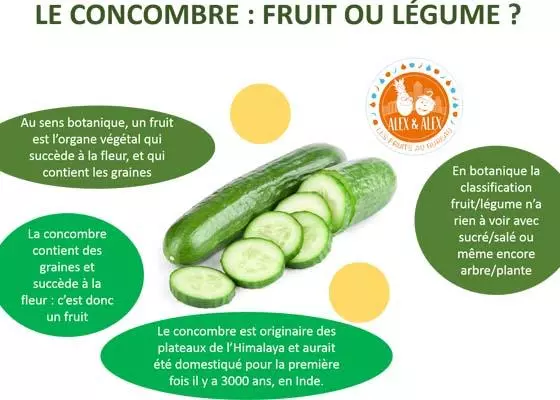 Le concombre : fruit ou légume ?