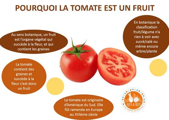 La tomate : fruit ou légume ? Pourquoi la tomate est-elle un fruit !
