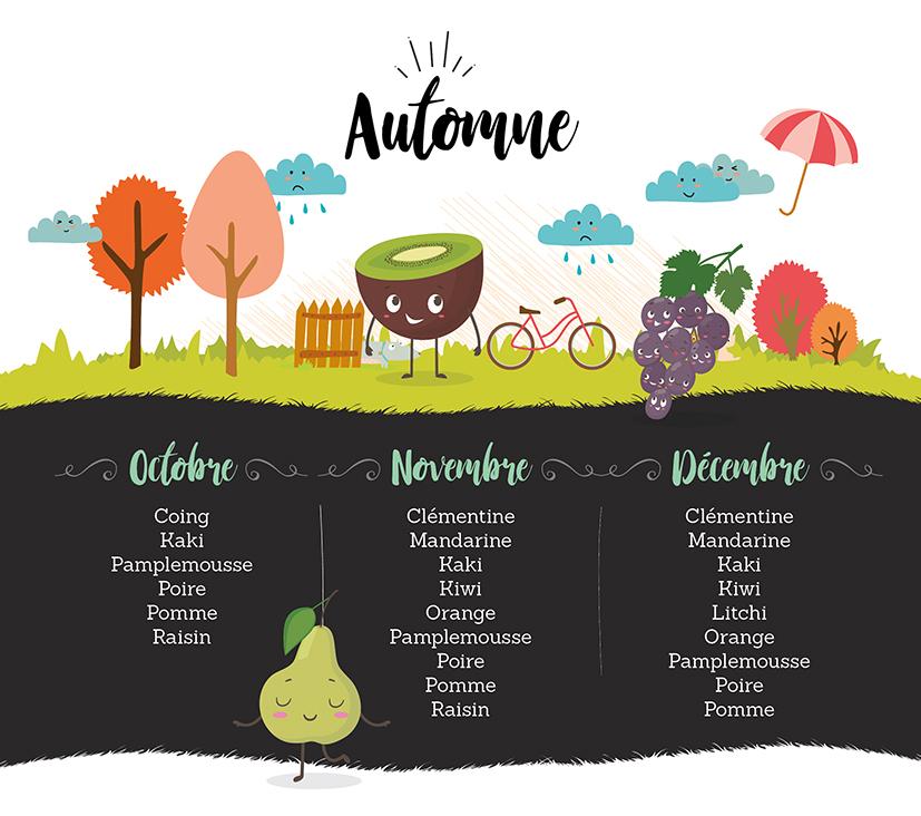 Infographie fruits automneBD