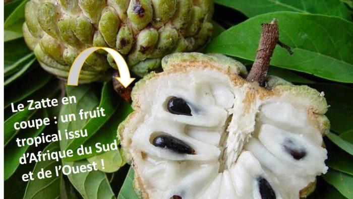 fruits-en-z-et-l-gumes-en-z-la-liste-compl-te-en-fran-ais-a-a
