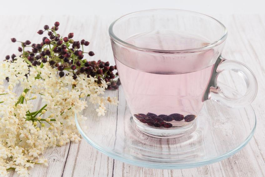 Tisane de feuilles de sureau noir