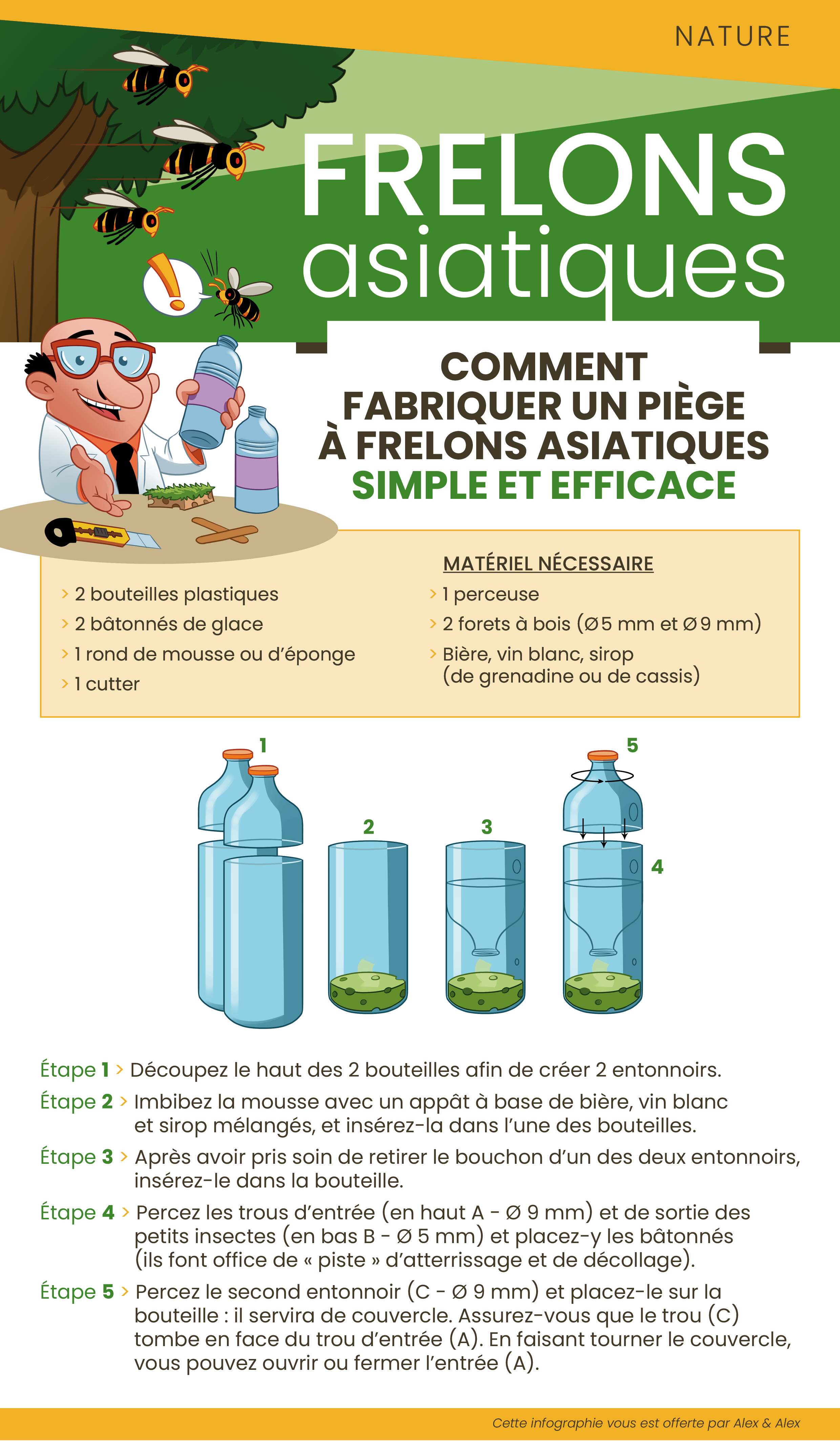 Frelons Asiatiques : pourquoi et comment limiter leur progression