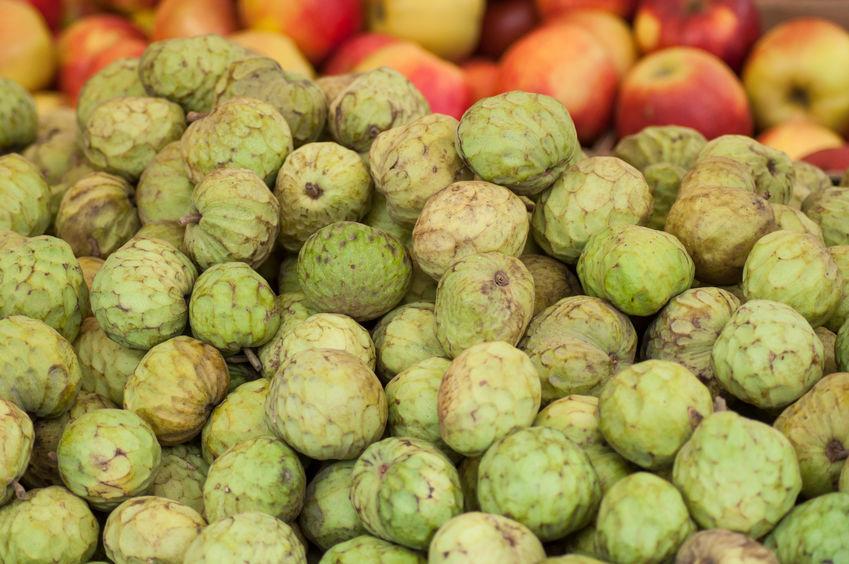 cherimoya empilés sur un etal 