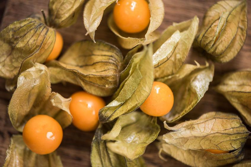 coqueret du perou physalis près à decorer un dessert