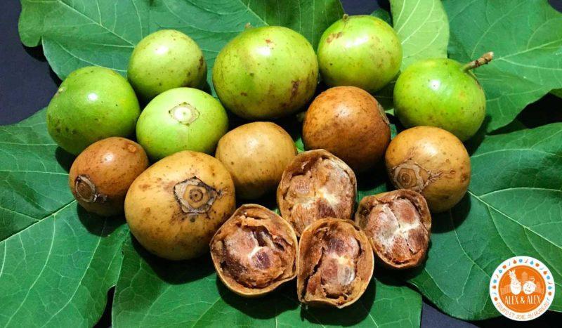 La Vavangue : tout connaître sur ce fruit délicieux originaire de Madagascar